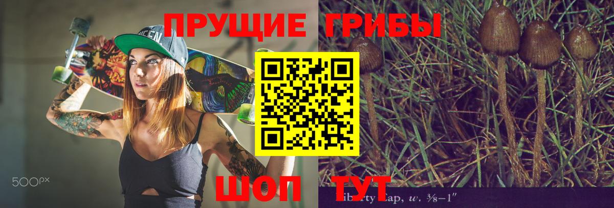 Псилоцибиновые грибы мицелий Реж